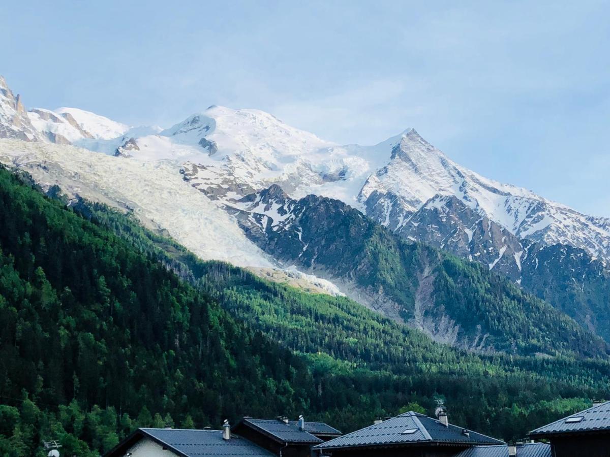 Mont Blanc 43, Vue Mont Blanc , Balcon, Parking Daire Chamonix Dış mekan fotoğraf
